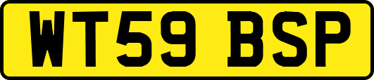WT59BSP