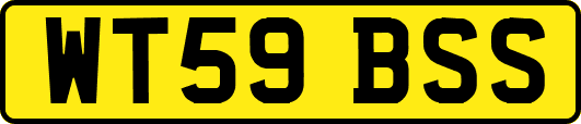 WT59BSS