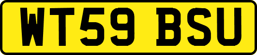 WT59BSU