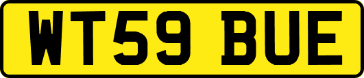 WT59BUE