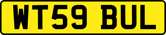 WT59BUL