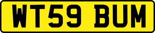 WT59BUM