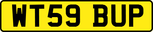 WT59BUP