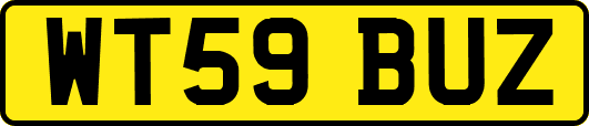 WT59BUZ