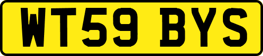 WT59BYS
