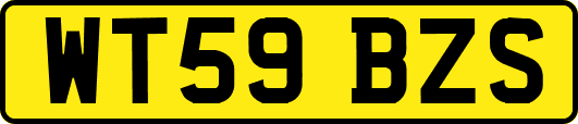 WT59BZS
