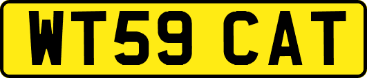 WT59CAT