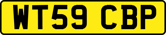 WT59CBP