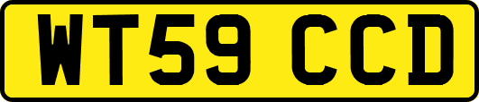 WT59CCD