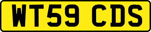 WT59CDS