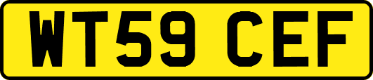 WT59CEF