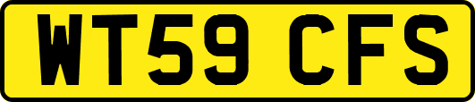 WT59CFS