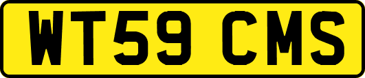 WT59CMS