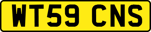 WT59CNS