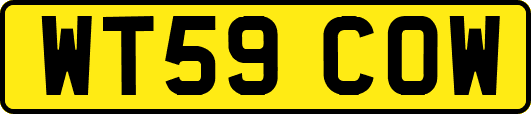 WT59COW