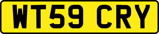 WT59CRY