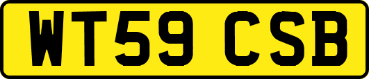 WT59CSB