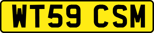 WT59CSM