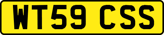 WT59CSS