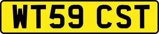 WT59CST