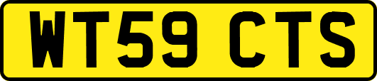 WT59CTS