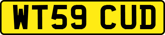 WT59CUD
