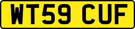WT59CUF