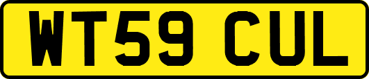 WT59CUL