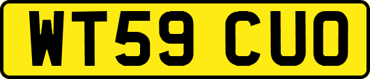 WT59CUO