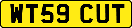 WT59CUT