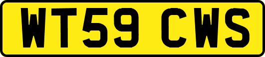 WT59CWS