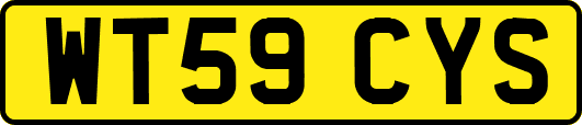 WT59CYS