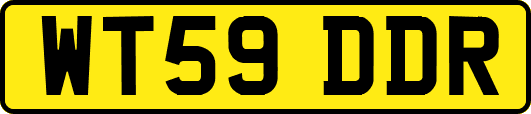 WT59DDR
