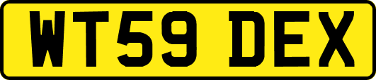 WT59DEX
