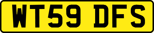 WT59DFS