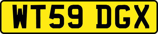 WT59DGX