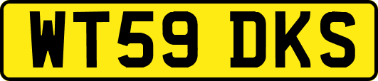 WT59DKS