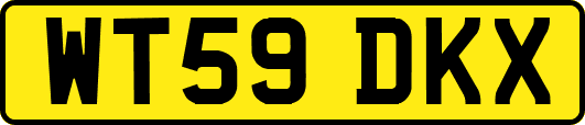WT59DKX