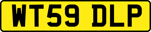 WT59DLP