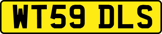 WT59DLS