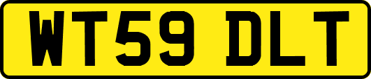 WT59DLT