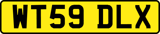 WT59DLX