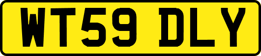 WT59DLY