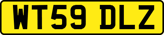 WT59DLZ