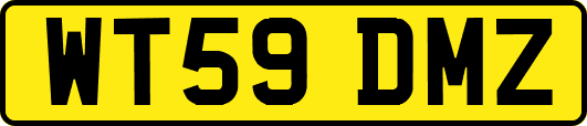 WT59DMZ