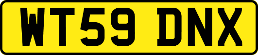 WT59DNX