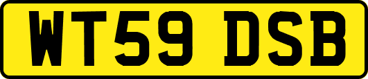 WT59DSB