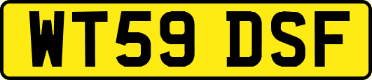 WT59DSF