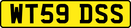 WT59DSS