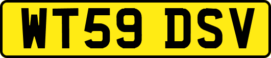 WT59DSV